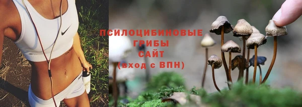 хмурый Богданович