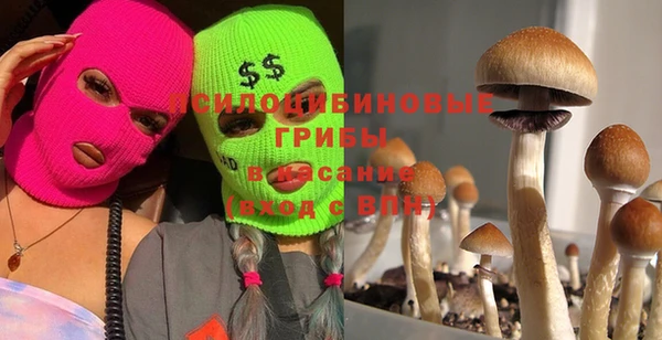 бошки Богородицк