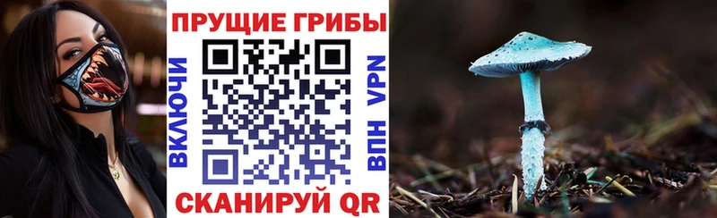 Галлюциногенные грибы Magic Shrooms  Купить  Шелехов 